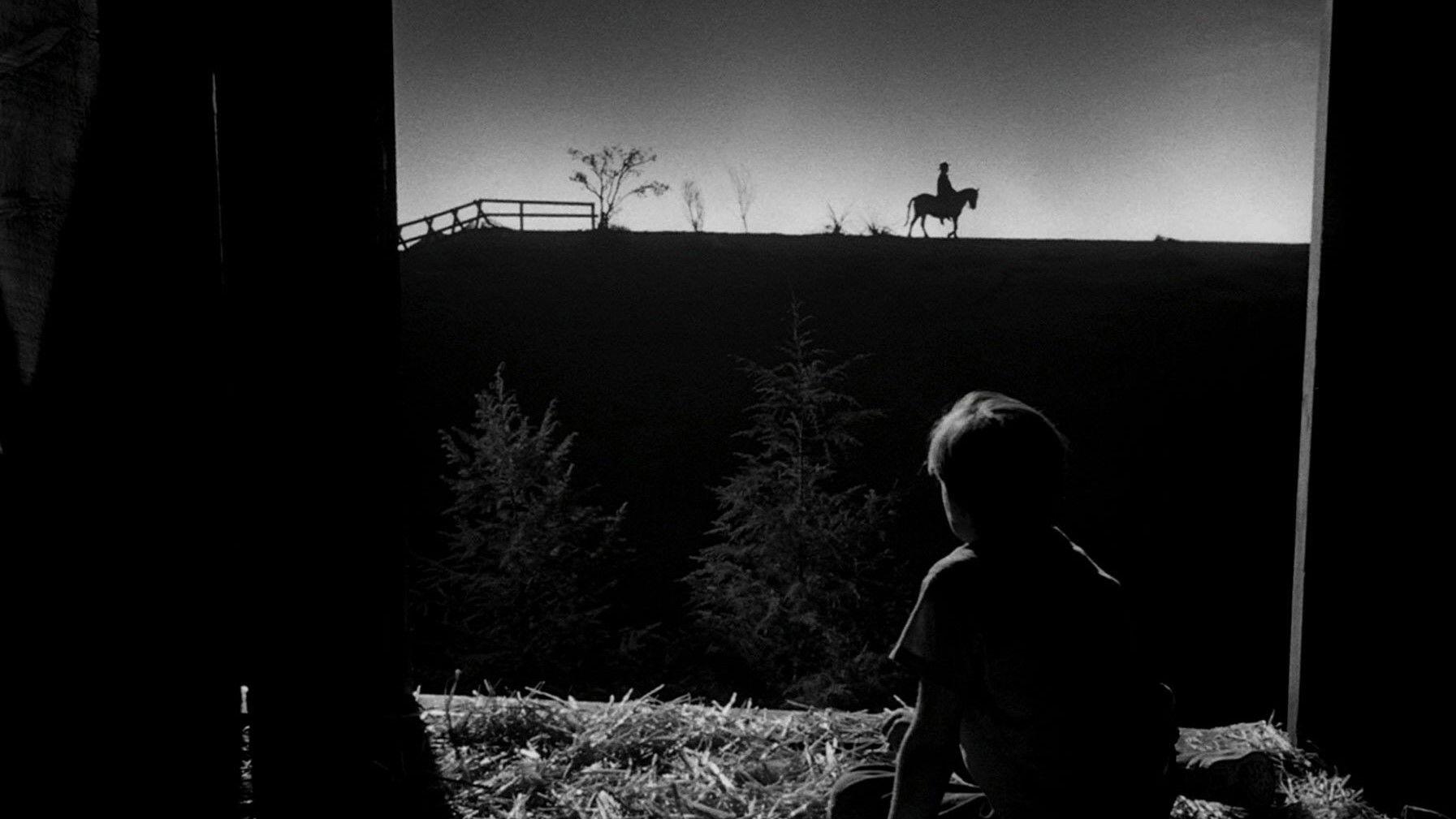 La Nuit du chasseur