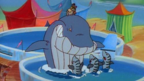 Bas de laine contre une baleine