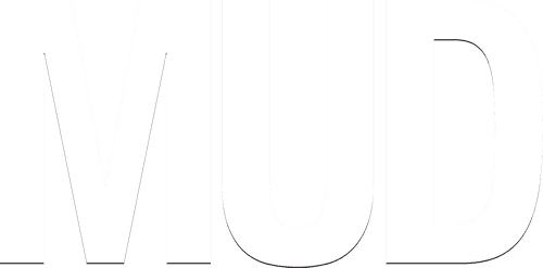 Mud - Sur les rives du Mississippi