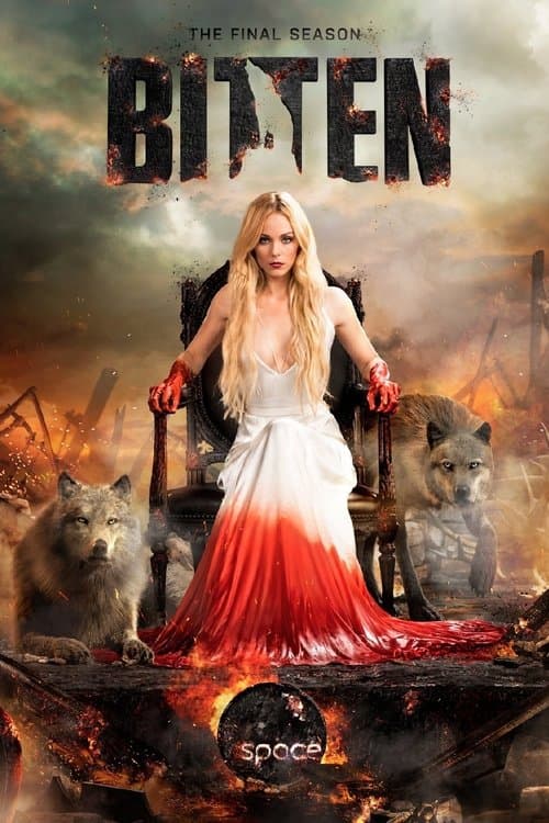 Saison 3