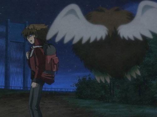 Au revoir Judai