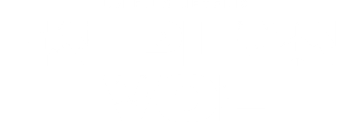 En plein vol