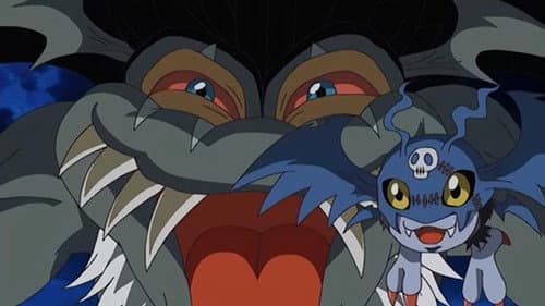 Épisode 11