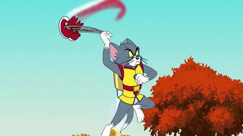 Un chat à réaction