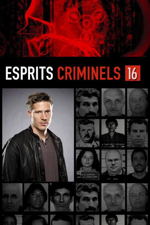 Evolution saison 1