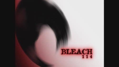 Réunion : Ichigo, Rukia et les Shinigamis