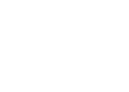 Miracle en Alabama