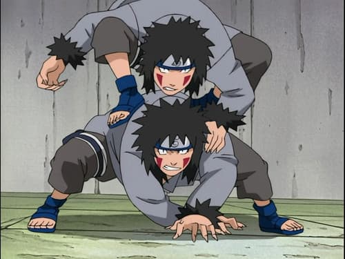 Akamaru participe au combat