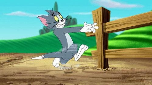 Tom superstar