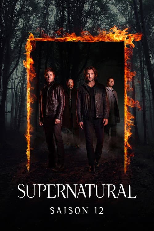 Saison 12