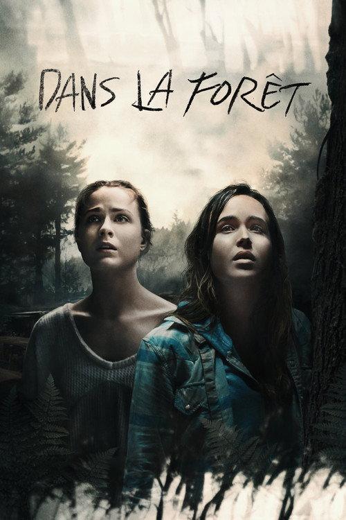 Into the Forest