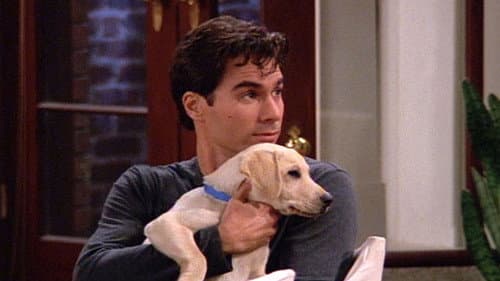 La Vérité sur Will et les chiens