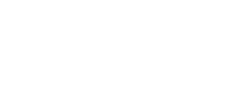 Art of Steal
