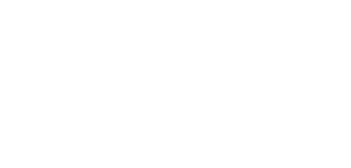 Into the Forest