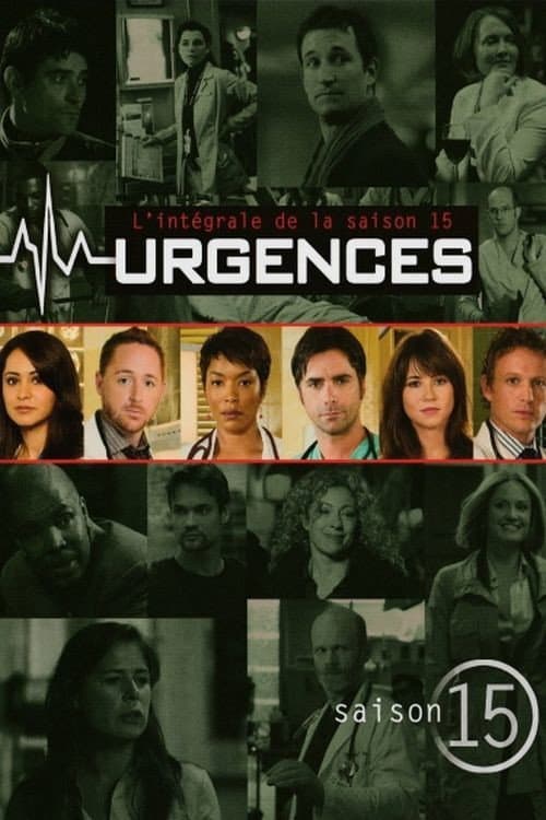 Saison 15