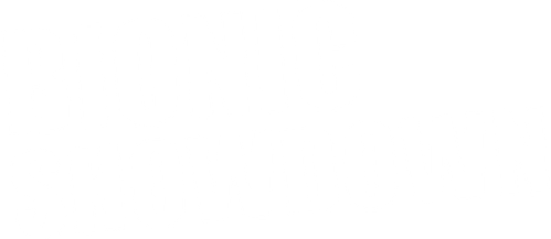 L'Espion bionique