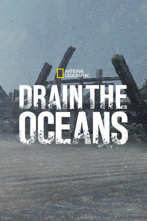 Saison 4