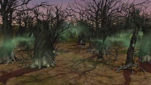 La forêt morte
