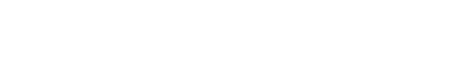 Chaos d'anthologie : Le film d'une fête trop virale