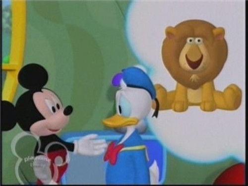À la recherche du lion perdu de Donald