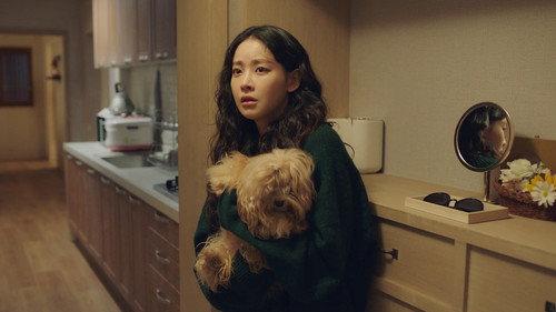 Épisode 7