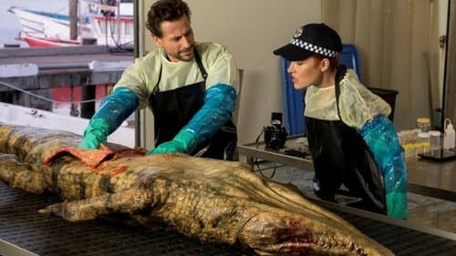 Le blues du crocodile