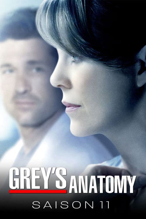 Saison 11