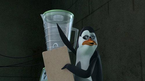 Épisode 25