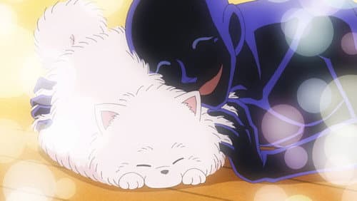 Prochain Indice De Conan  Boule De Poils