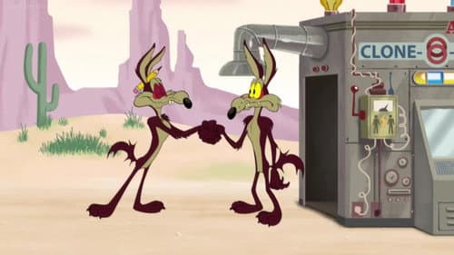 Vil Coyote, chef de meute