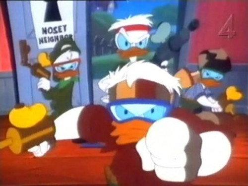 Vol au-dessus d'un nid de canards