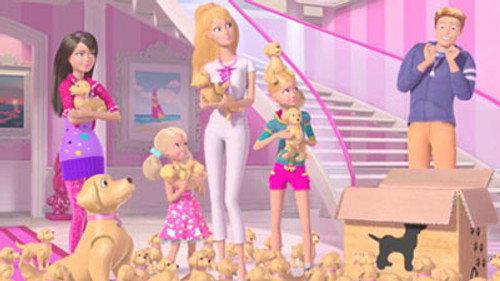 Des chiots partout !