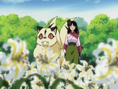 Kohaku, Sango, Kirara et le jardin fleuri