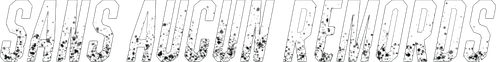 Sans aucun remords