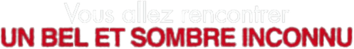 Vous allez rencontrer un bel et sombre inconnu