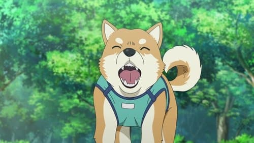 Pan, le chien intelligent