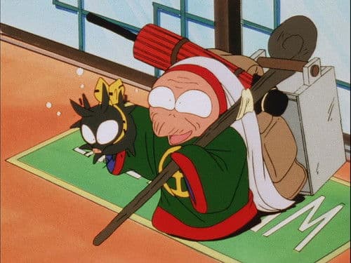 Ranma, le terrifiant d'entrainement