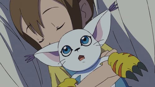 Hikari et Tailmon