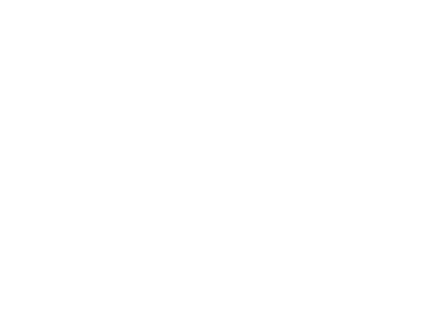 La Cour de récré
