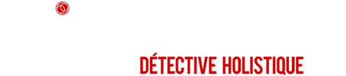 Dirk Gently, détective holistique
