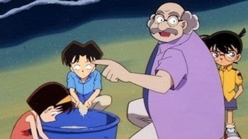 Le mystère du filet (2)