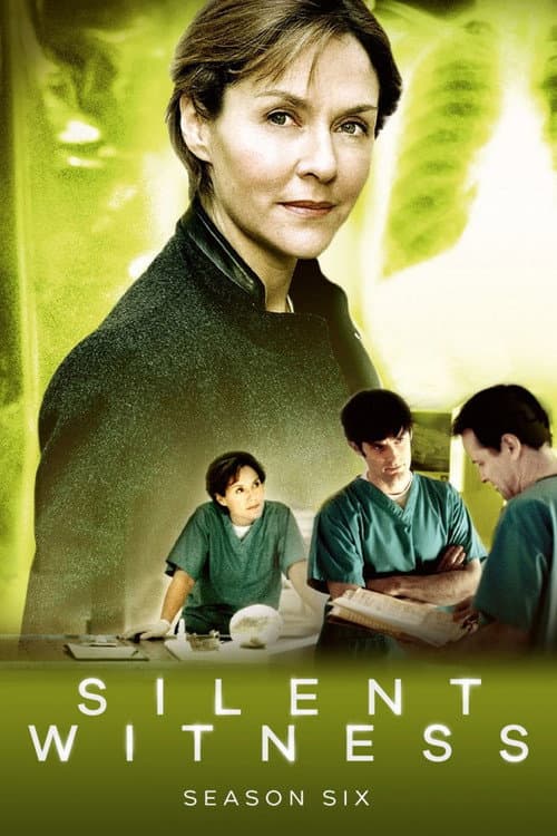 Saison 6