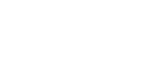 Le coup de cœur de Noël