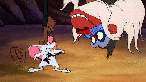 La petite souris triste
