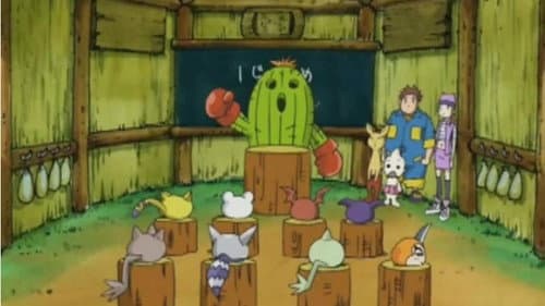 Épisode 8