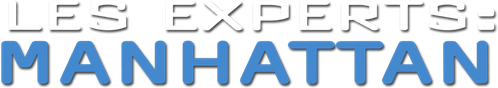 Les Experts : Manhattan