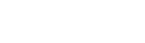 The Reader
