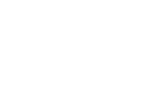 Davy Crockett, roi des trappeurs
