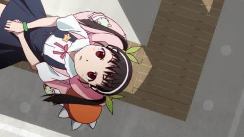 Mayoi Snail, Partie deux
