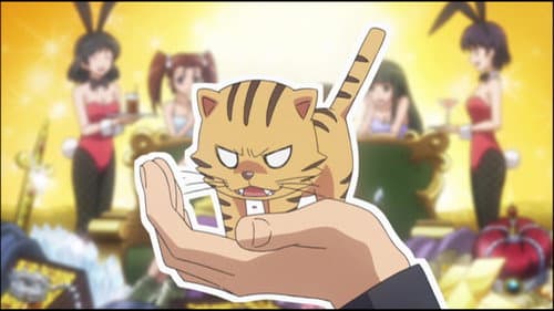 Taiga, le tigre de poche du bonheur